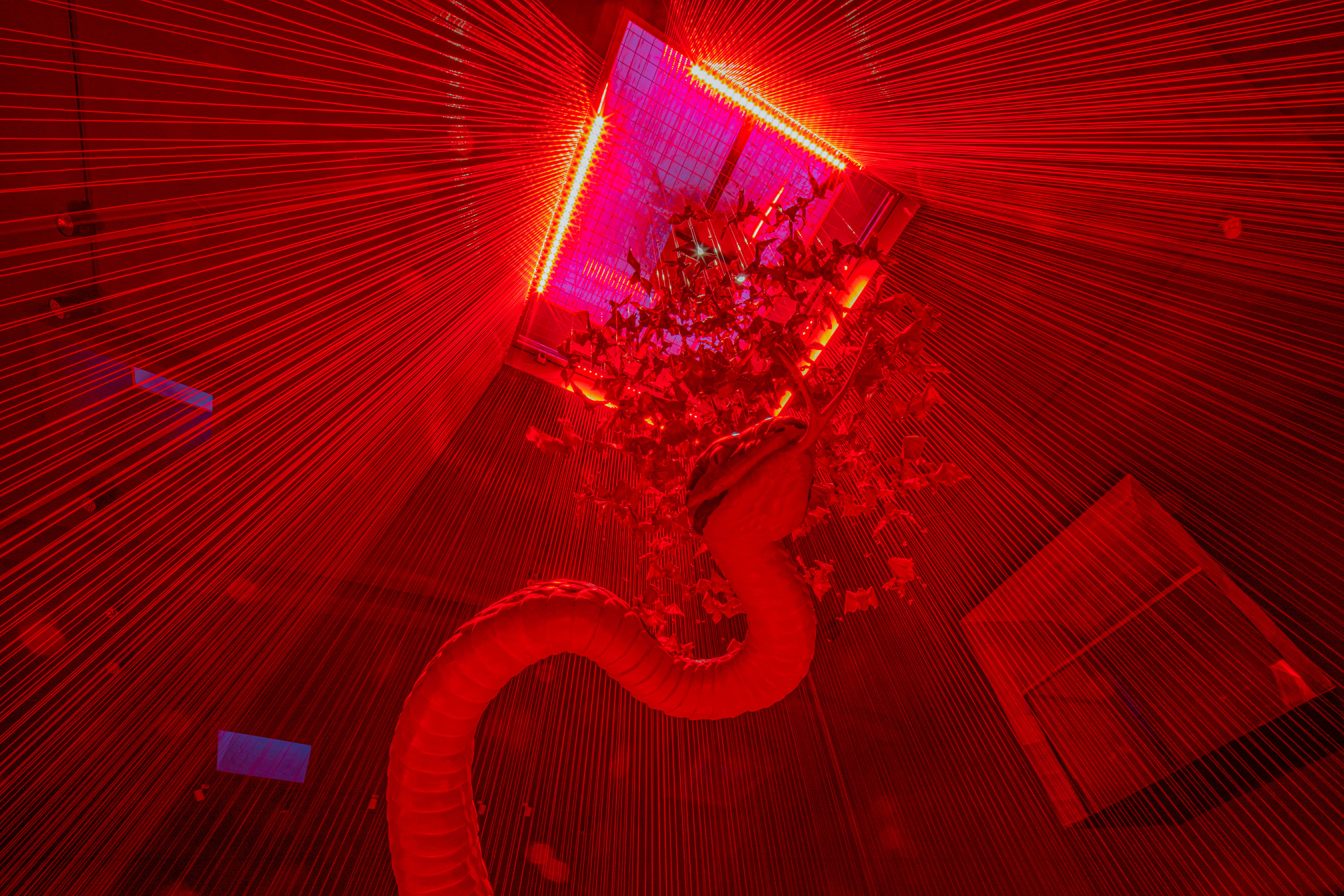 亮化工程-渡渡美術館藝術燈光設計 (3)